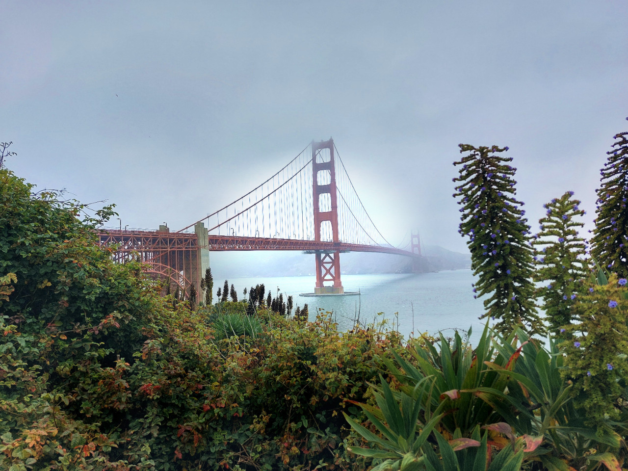 Golden Gate Bridge