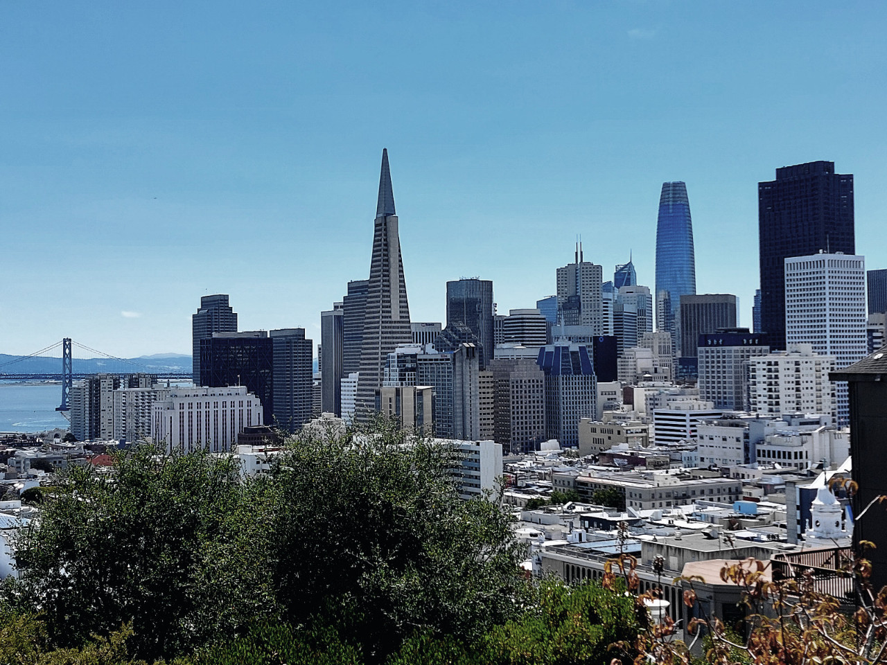 San Fran Down Town